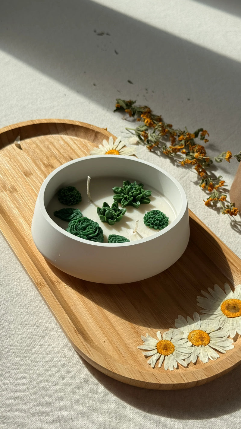 Handmade soy candle with green succulent wax decor in white bowl, styled with dried daisies on wooden tray
